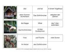 Sätze-bilden-Eichhörnchen 1.pdf